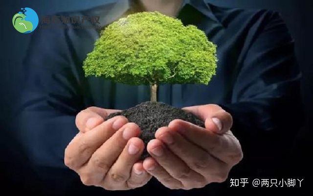 购买专利技术该从哪些方面着手? 购买专利 专利交易 第2张 购买专利技术该从哪些方面着手? 购买专利 专利交易 第2张
