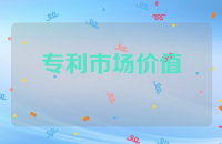 专利市场价值
