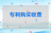 专利购买收费