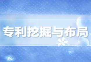 专利布局方式包括，专利布局方式包括什么