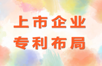 专利布局的基本原则，专利布局的总体考虑和流程