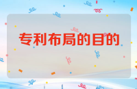 专利布局的目的、方向和方法