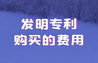 买一个发明专利一般多少钱?发明专利购买中价格考量