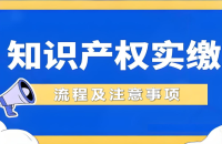专利可不可以做为注册资本实缴,流程和注意事项