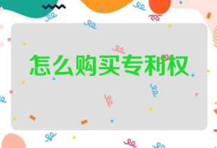 怎么购买专利使用权
