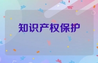 知识产权保护与应用