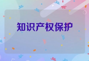 知识产权保护与应用