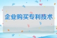 企业购买的非专利技术